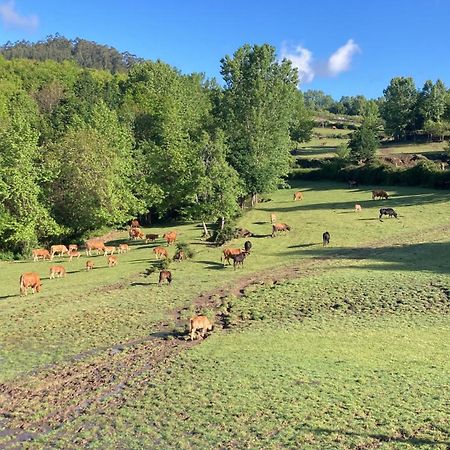 Quinta De Boucas Βίλα Cabeceiras de Basto Εξωτερικό φωτογραφία