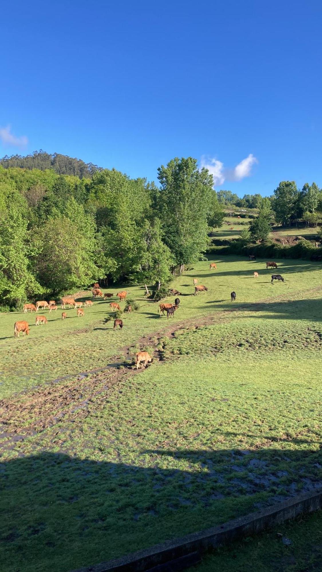 Quinta De Boucas Βίλα Cabeceiras de Basto Εξωτερικό φωτογραφία